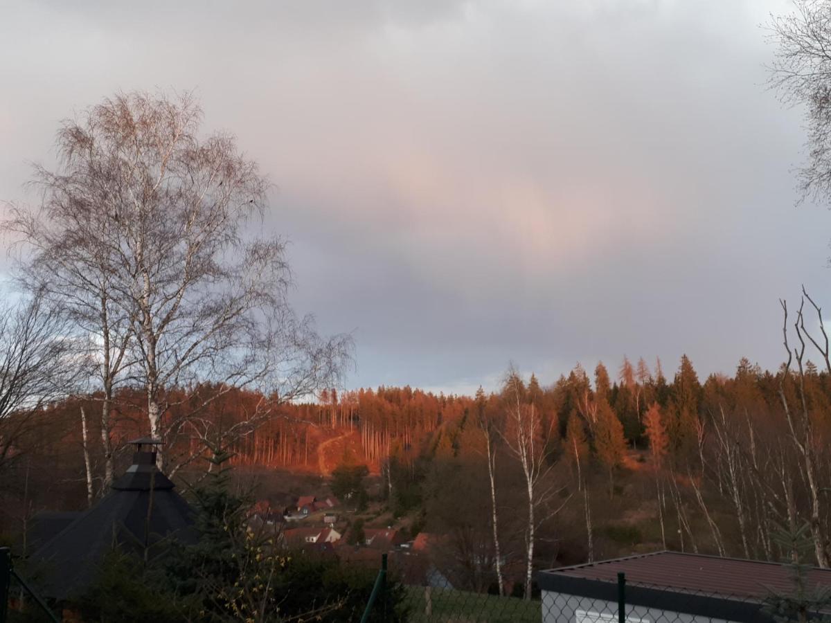 Behagliches Ferienhaus Zaunkoenig -Mit Kamin Und Sauna 塔内 外观 照片