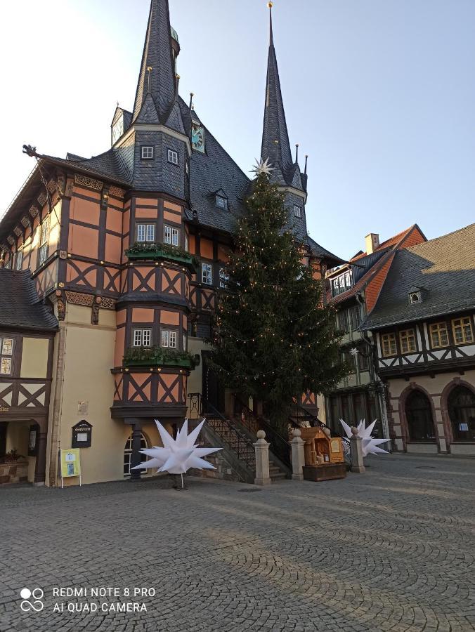 Behagliches Ferienhaus Zaunkoenig -Mit Kamin Und Sauna 塔内 外观 照片