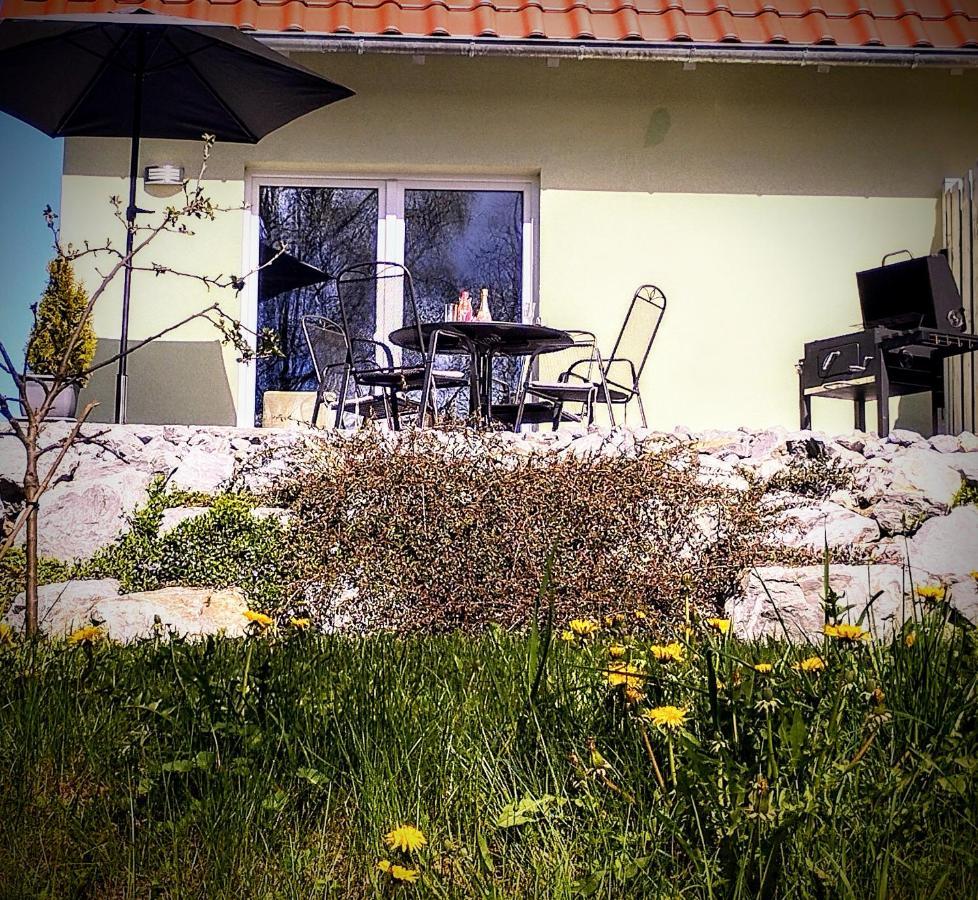 Behagliches Ferienhaus Zaunkoenig -Mit Kamin Und Sauna 塔内 外观 照片