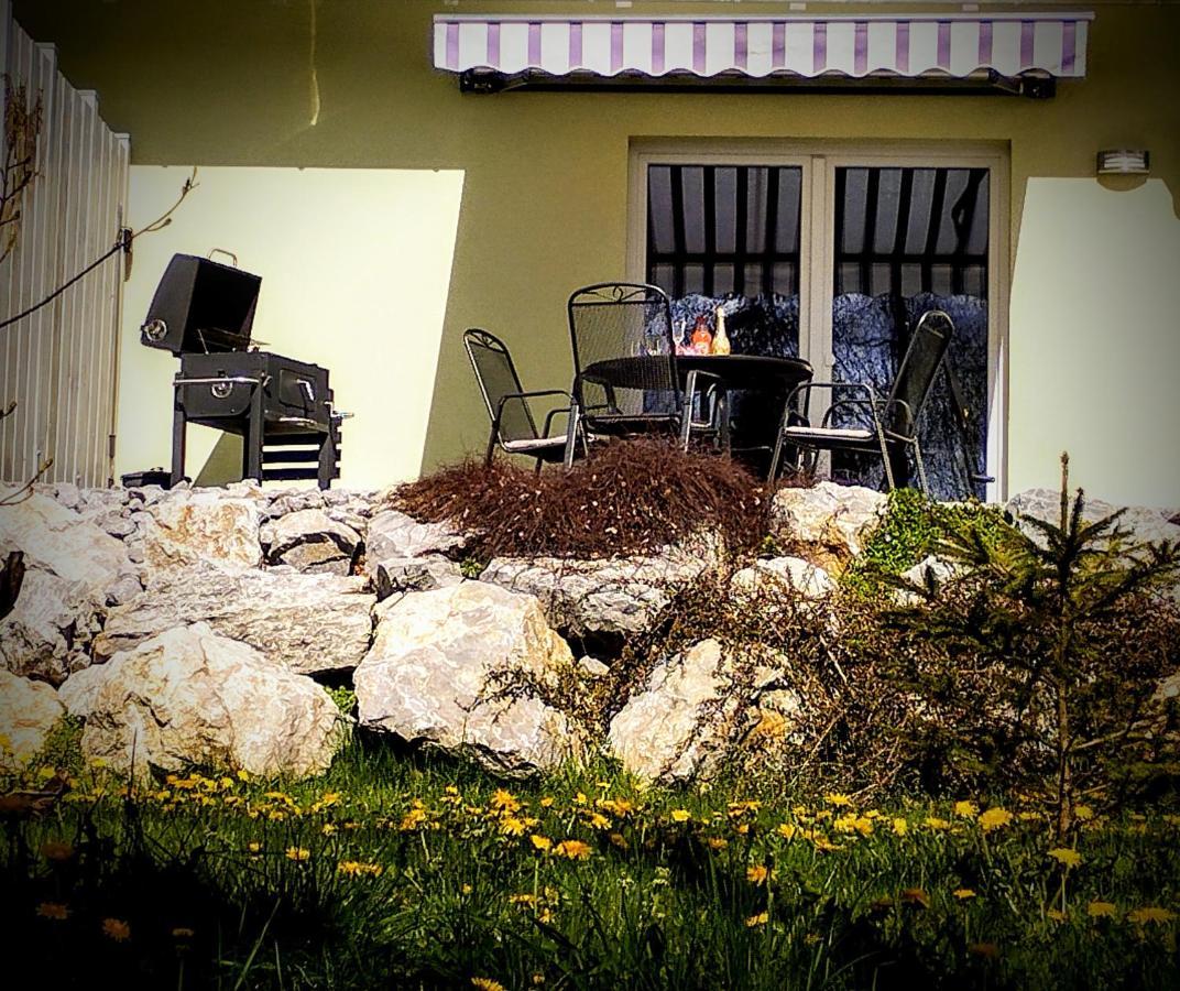 Behagliches Ferienhaus Zaunkoenig -Mit Kamin Und Sauna 塔内 外观 照片